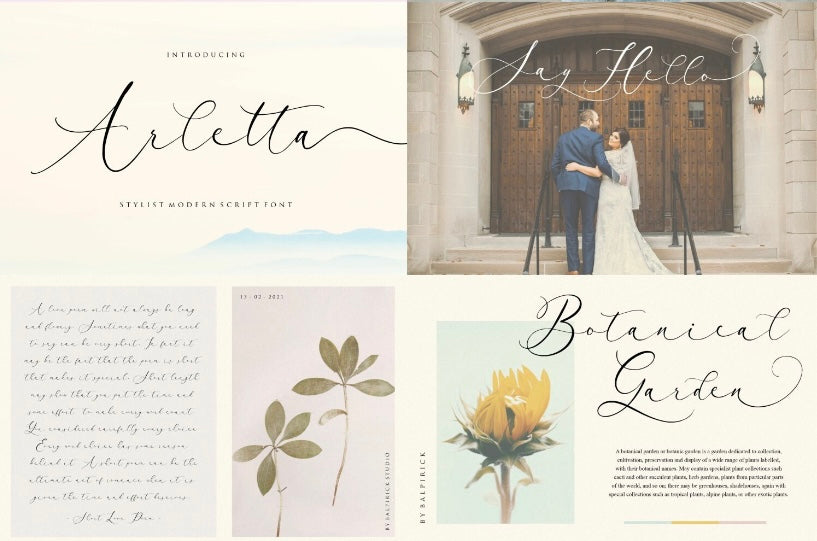 Swash / Elegant Fonts